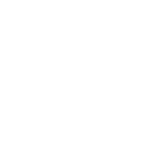 SEO Optimization